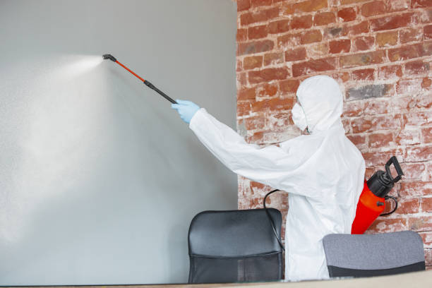 Best Emergency Mold Remediation  in Lemmon, SD