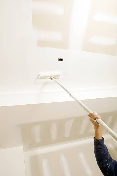 Trusted Lemmon, SD Mold Removal Experts