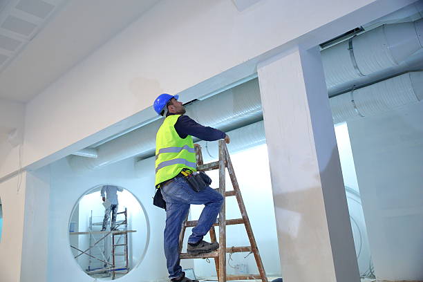 Best Attic Mold Removal  in Lemmon, SD