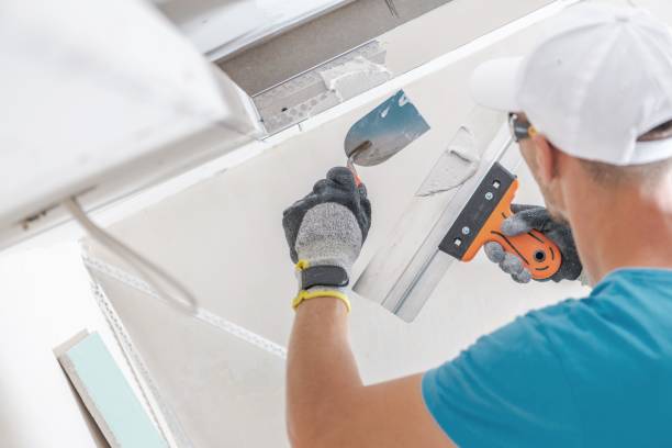 Best Air Quality Testing for Mold Spores  in Lemmon, SD